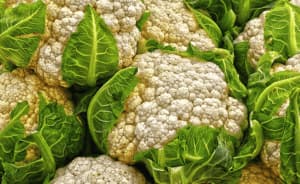 Scopri di più sull'articolo Coltivare il Cavolfiore