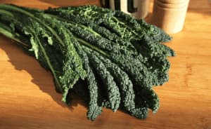 Scopri di più sull'articolo Coltivare il Cavolo Nero